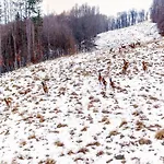 Mount - 365 Days Hot Outdoor Pool - Pensionat Valevtsi