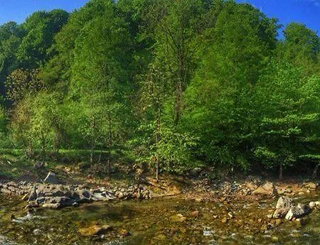 Pensionat Mount - 365 Days Hot Outdoor Pool - Valevtsi