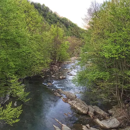 Maison d'hôtes Mount - 365 Days Hot Outdoor Pool - Valevtsi