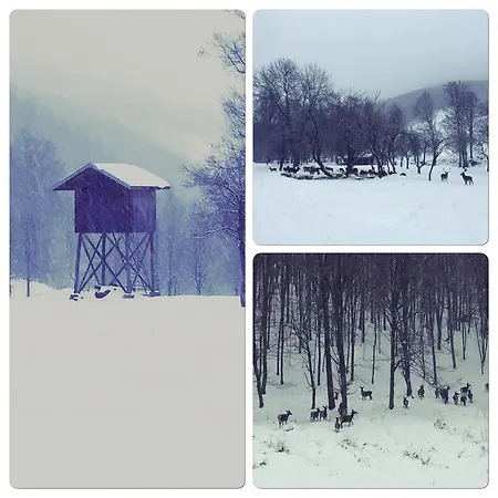 Mount - 365 Days Hot Outdoor Pool - 4* Valevtsi